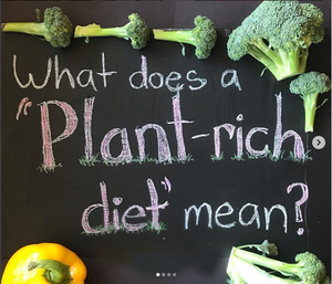 What does a 'plant-rich diet' mean?