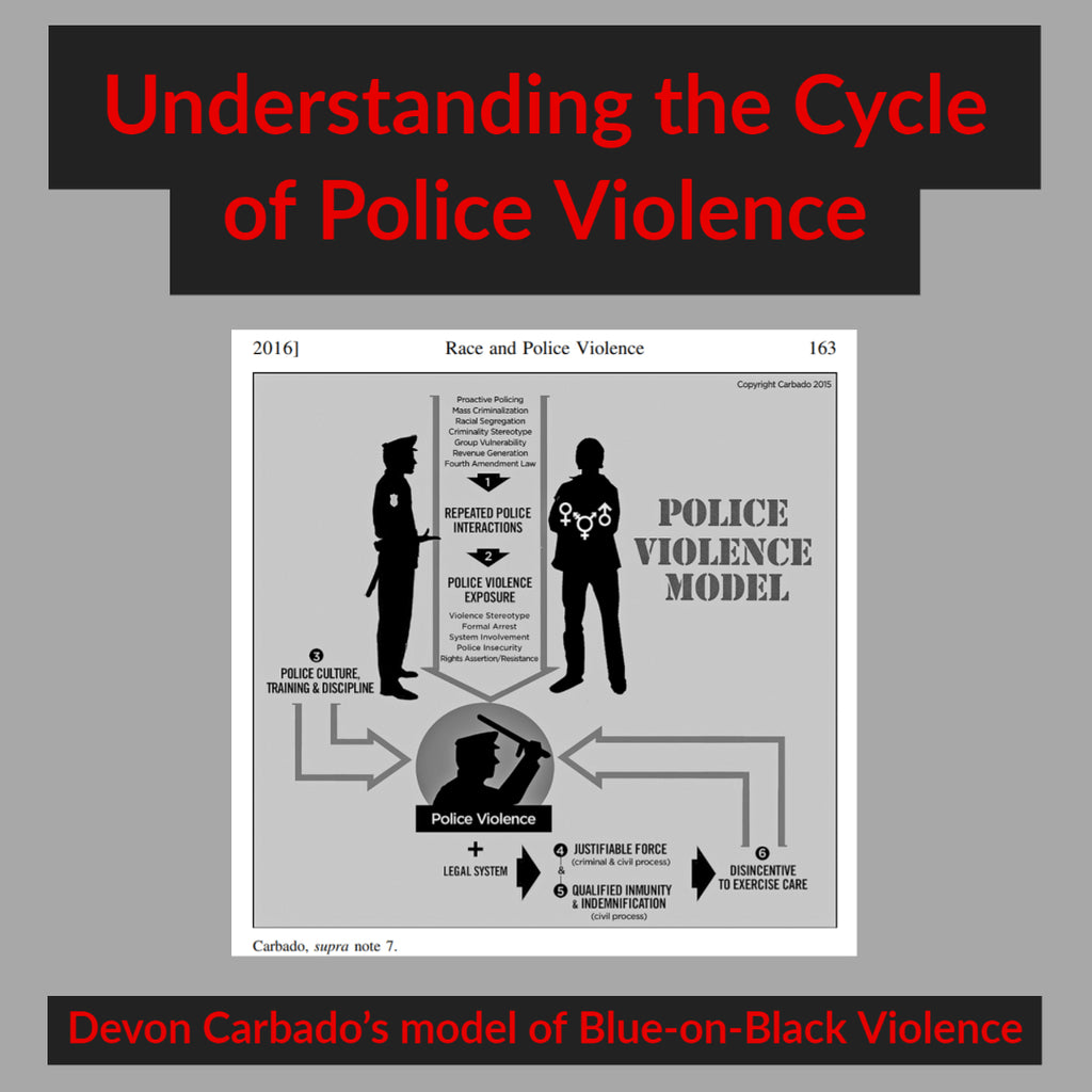 Understanding Carbado's Model of Police Violence